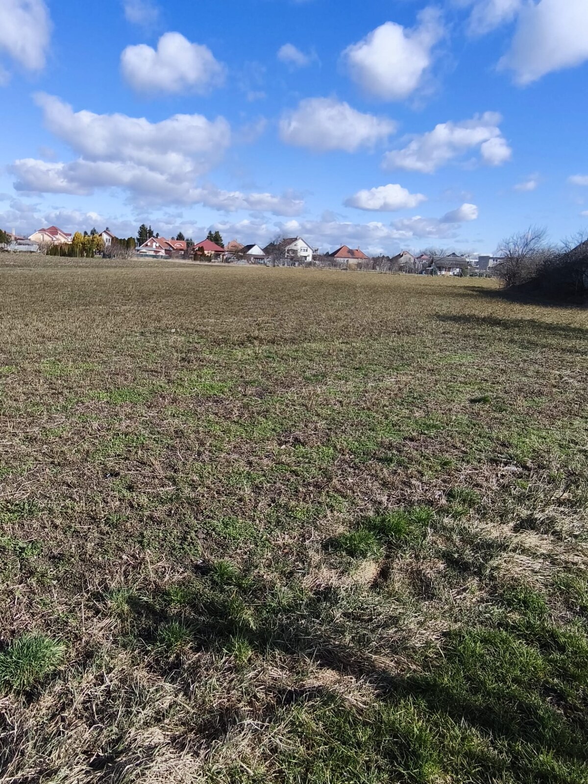 Investičná príležitosť, pozemok  na predaj, 3 399 m², Čierny Brod — foto 5