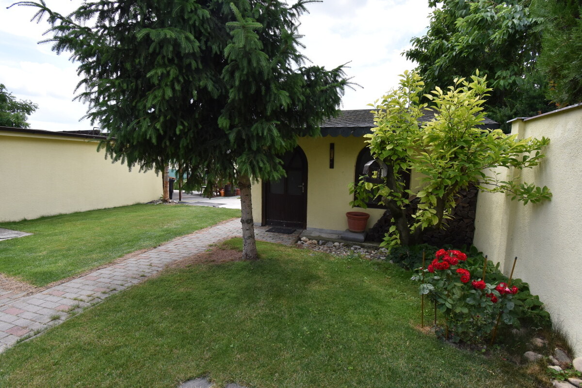 Dom snov, bazén, vinná pivnica, garáže, Mostová — foto 13