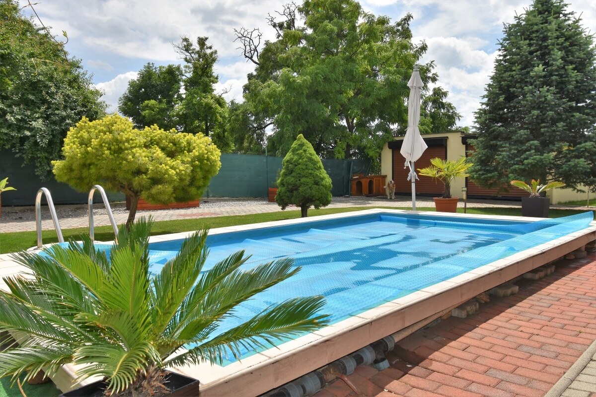 Dom snov, bazén, vinná pivnica, garáže, Mostová — foto 15
