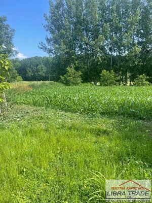 Predaj - 2-izb.starší RD s pekným pozemkom 1800m2 v Dedine Mládeže. — foto 7