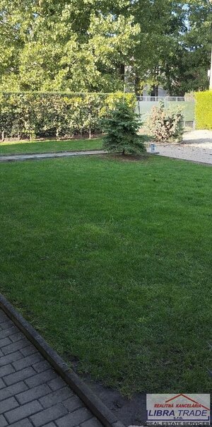 Menší rodinný dom na predaj s veľkým pozemkom v Nových Zámkoch. — foto 2