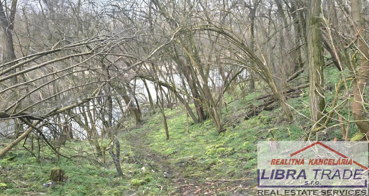 Rodinný dom s krásnym pozemkom v blízkosti mŕtveho ramena Ipľa v obci Pastovce.  — foto 21