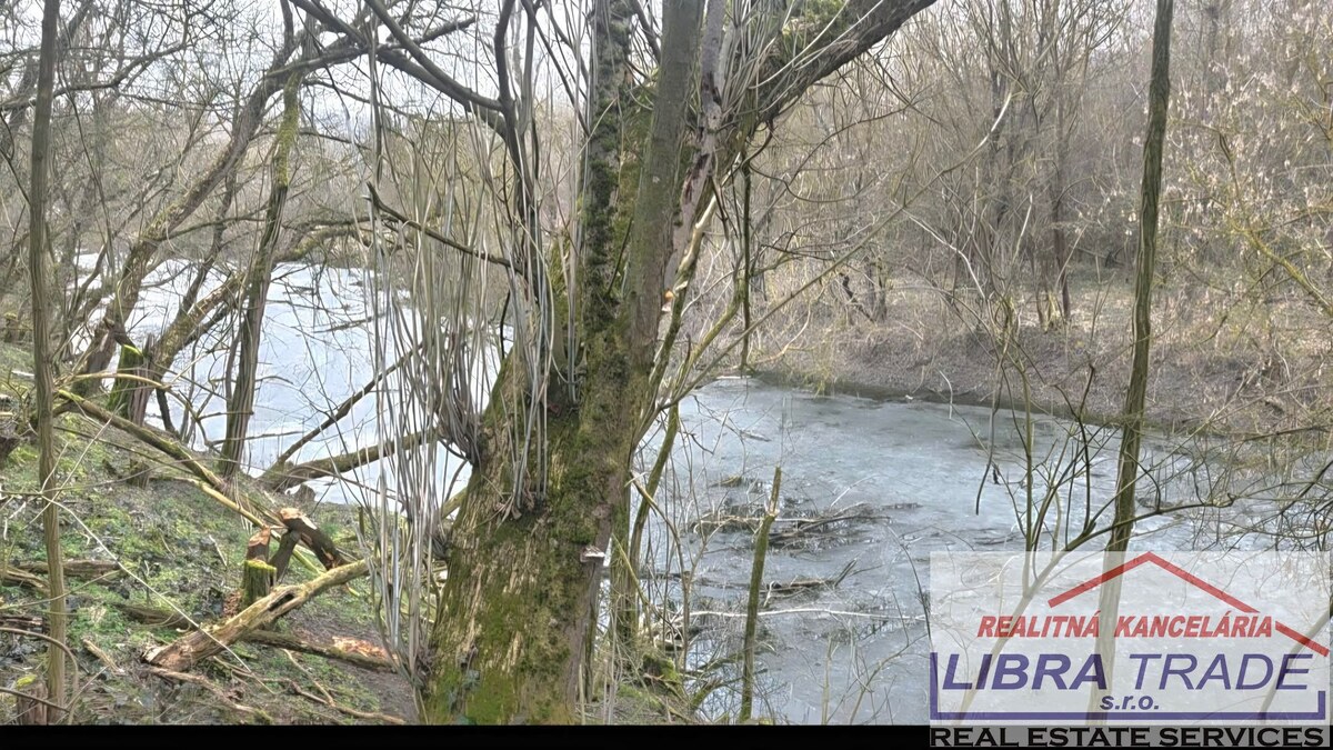 Rodinný dom s krásnym pozemkom v blízkosti mŕtveho ramena Ipľa v obci Pastovce.  — foto 22