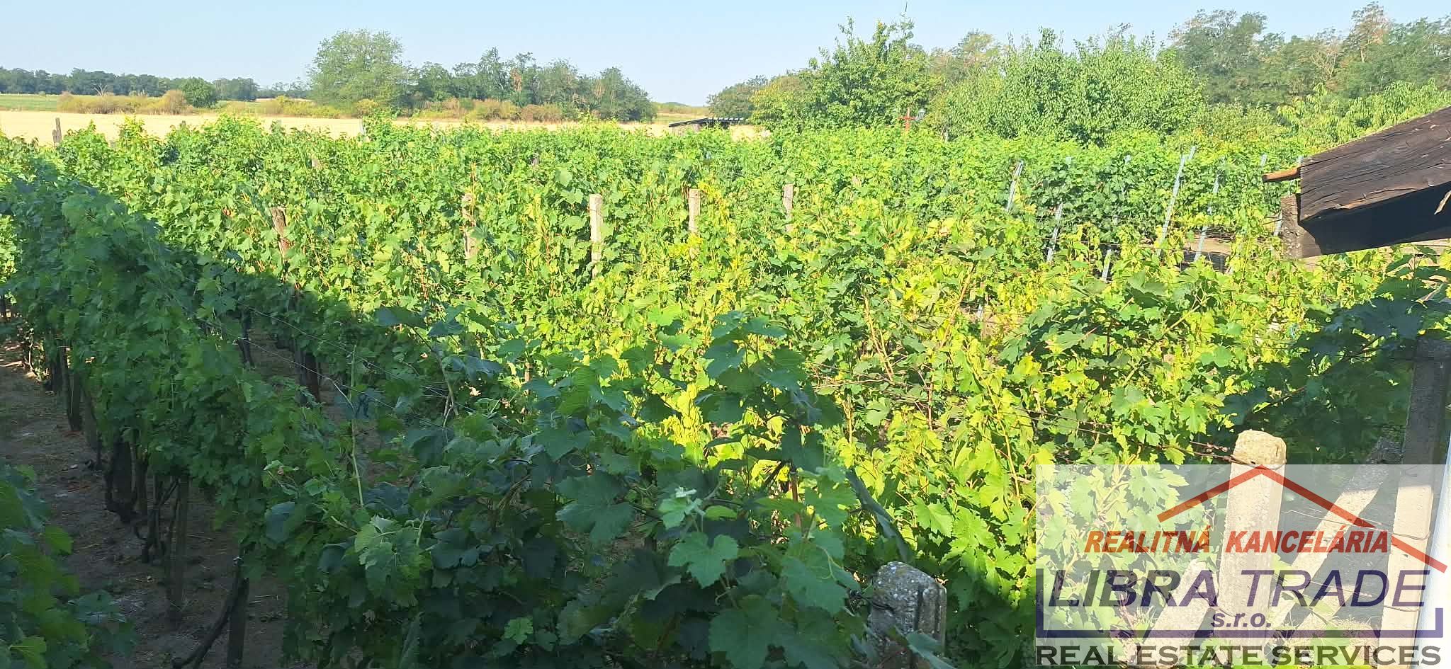 IBA U NÁS! PREDAJ - Murovaný domček s klembovou pivnicou a záhradou v obci Svätý Peter  — foto 8