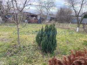 8-izb. RD 300m2, 742m2 poz. + garáž + dielňa + altánok, Trebišov — foto 12
