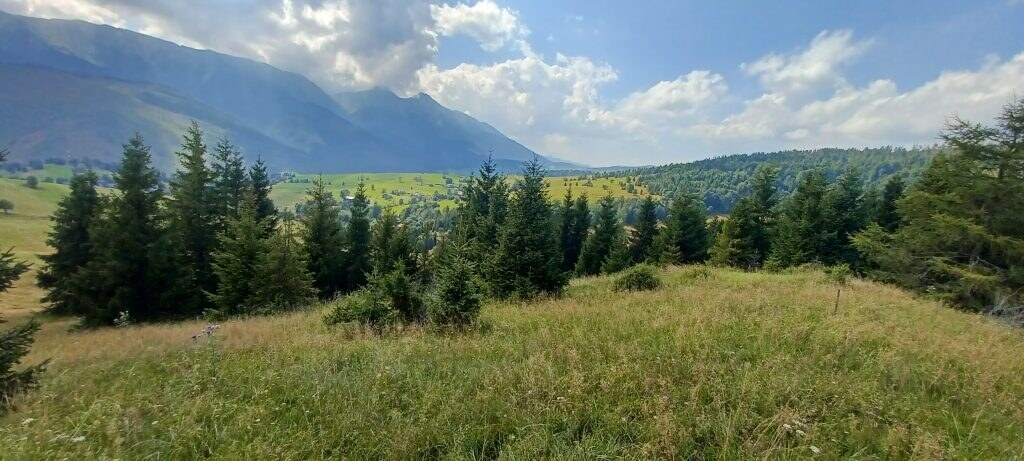 Pozemky na predaj v obci Ždiar spolu 20.500 m2 rôzne polohy, rôzne ceny — foto 5
