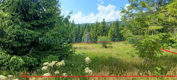 Pozemok na predaj 304 m2 Ždiar