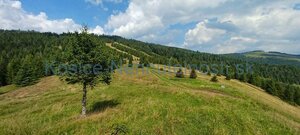 Pozemok na predaj 304 m2 Ždiar — foto 4