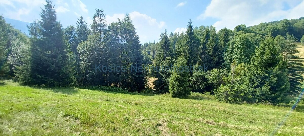 Pozemok na predaj v obci Ždiar 5075 m2
