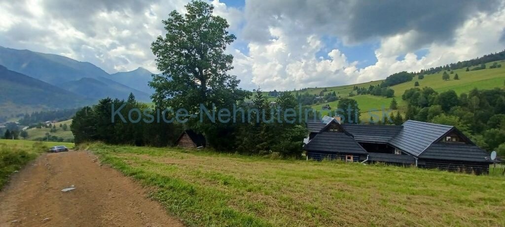 Pozemky 8445 m2 v Belianskych Tatrách Ždiar — foto 14