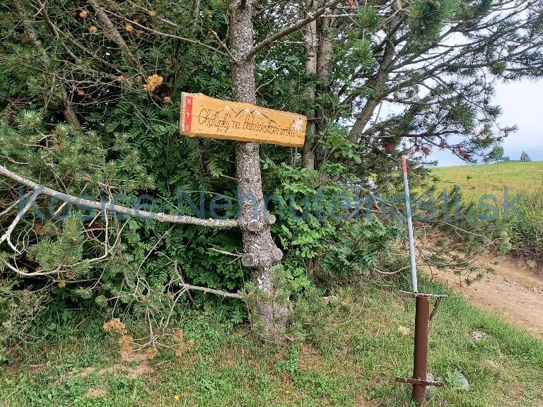 Pozemky 8445 m2 v Belianskych Tatrách Ždiar — foto 6