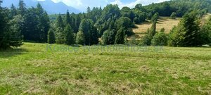 Pozemky 8445 m2 v Belianskych Tatrách Ždiar — foto 7