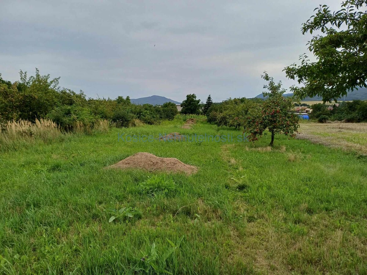 Predaj pozemok v obci Slivník okres Trebišov