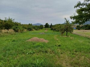 Predaj pozemok v obci Slivník okres Trebišov — foto 1