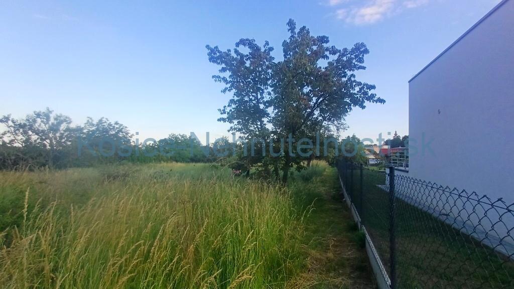 Stavebná parcela 1281m2 intravilán, Malé Ozorovce, okr. Trebišov — foto 2