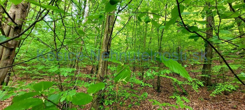 Predaj chata 40 m2 s pozemkom 2000 m2 Nižný Klátov pri meste Košice — foto 30