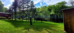 Predaj chata 40 m2 s pozemkom 2000 m2 Nižný Klátov pri meste Košice — foto 8