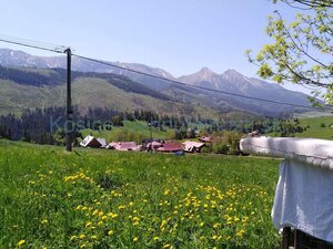 ZNÍŽENÁ CENA Z 360000 EUR - Chalupa na predaj Ždiar s pozemkami celkom 6563 m2 — foto 4