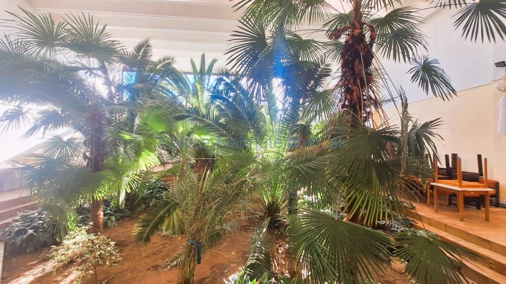 Podnikateľský objekt 3240 m2  Veľké Kapušany — foto 2