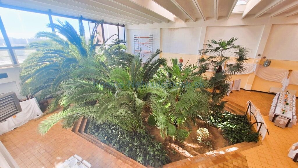 Podnikateľský objekt 3240 m2  Veľké Kapušany — foto 5