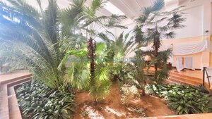 Podnikateľský objekt 3240 m2  Veľké Kapušany — foto 3