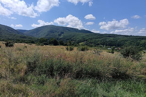 Rekreačný pozemok s panoramatickým výhľadom – Zemplínske Hámre — foto 2