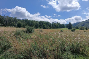 Rekreačný pozemok s panoramatickým výhľadom – Zemplínske Hámre — foto 3