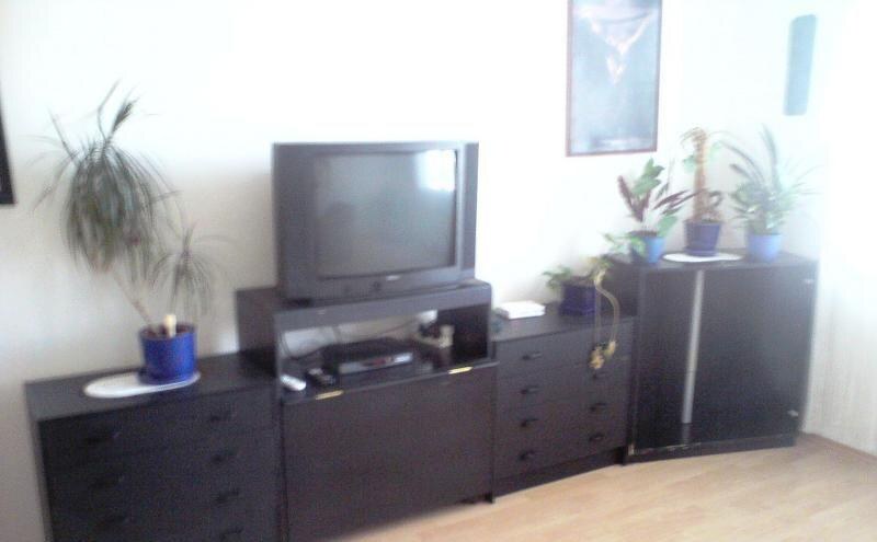 3 izbový zariadený byt s loggiou, aj psík — foto 2