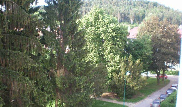 PB1880 Byt 3 1 časť Lánska, PB - tichá lokalita, neprerobený — foto 3