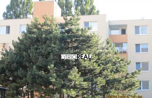 aTRIOREAL - 3I BYT - MEDVEDOVEJ - PETRZALKA, OVSISTE. — foto 1