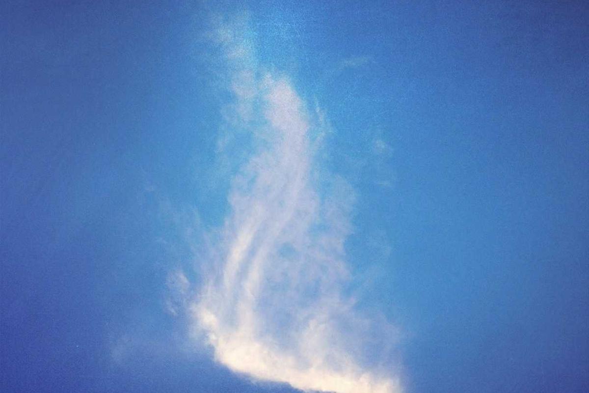 Rodinný dom so záhradou v Zobore — foto 4