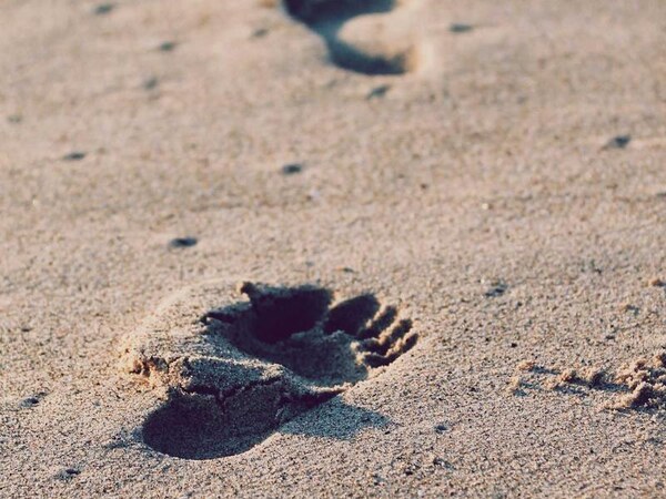 Pozemok 1160 m² s výhľadom, Trnava