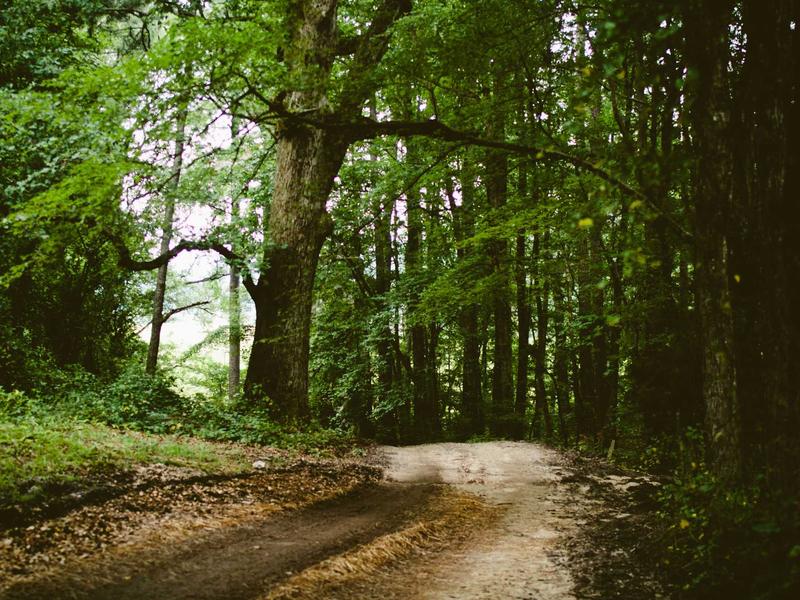 Obchodný priestor 294 m² v centre, Bratislava — foto 3