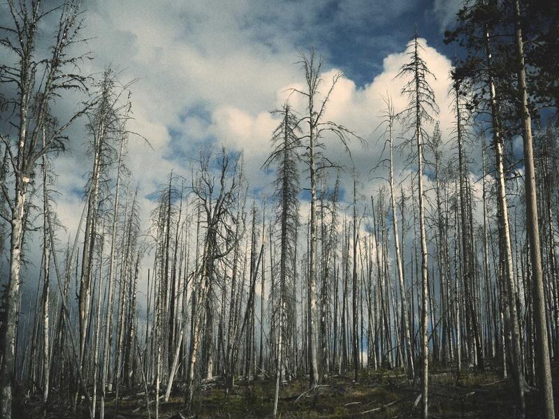 Pozemok 3717 m² v zástavbe, Nové Zámky — foto 2