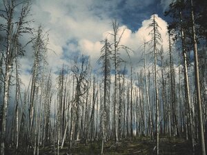 Pozemok 3717 m² v zástavbe, Nové Zámky — foto 2