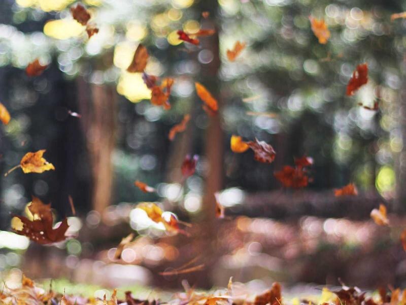 3-izbový byt v centre, Komárno — foto 2