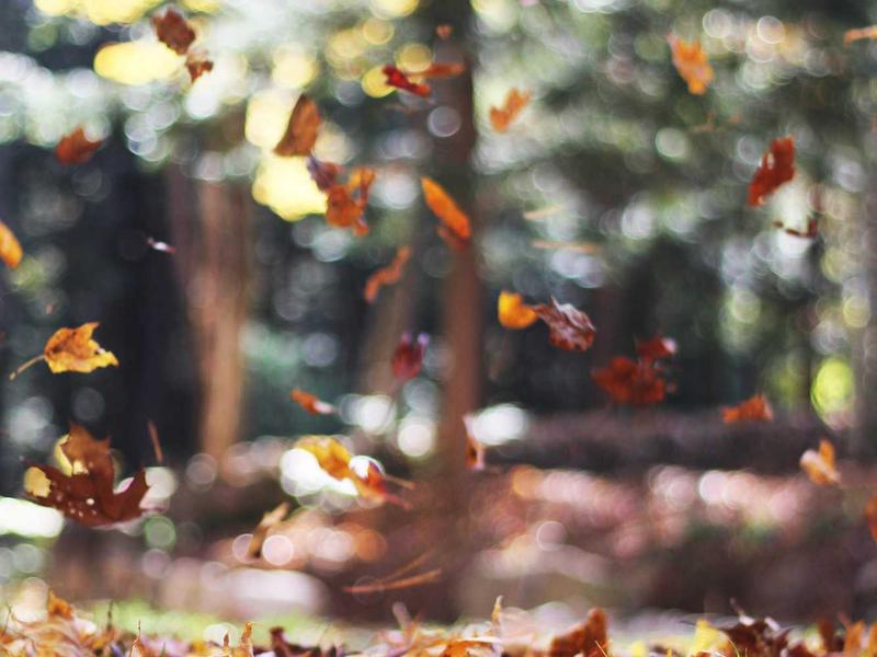 3-izbový byt v centre, Komárno — foto 2