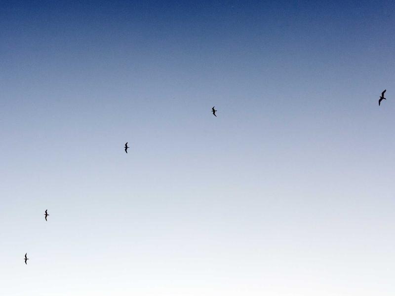 1-izbový byt po rekonštrukcii, Banská Bystrica — foto 4