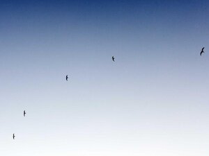 1-izbový byt po rekonštrukcii, Banská Bystrica — foto 4