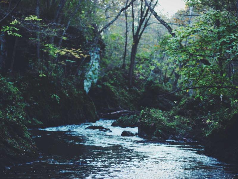 Rodinný dom v zástavbe, Poprad