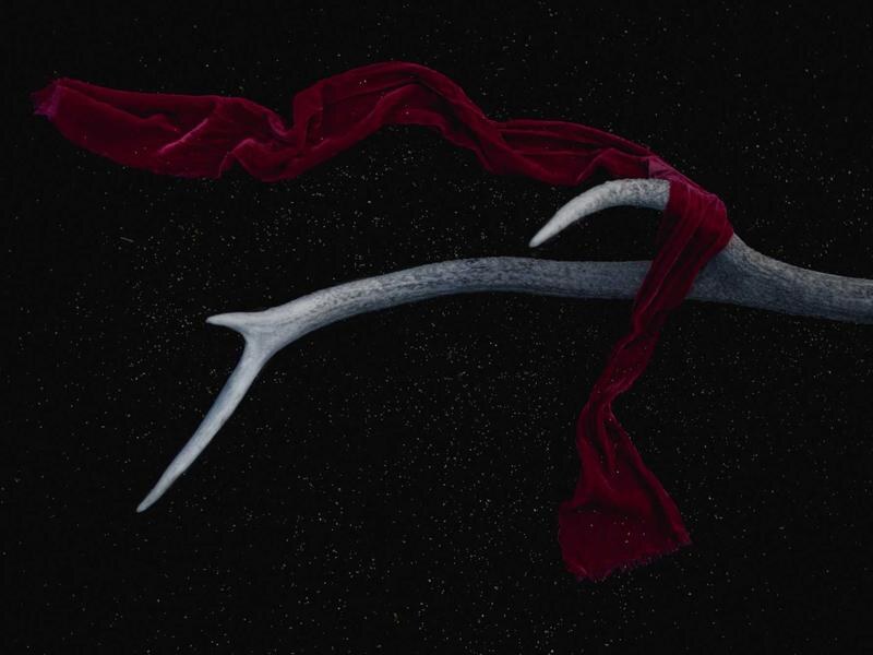 Rodinný dom v centre, Michalovce — foto 4