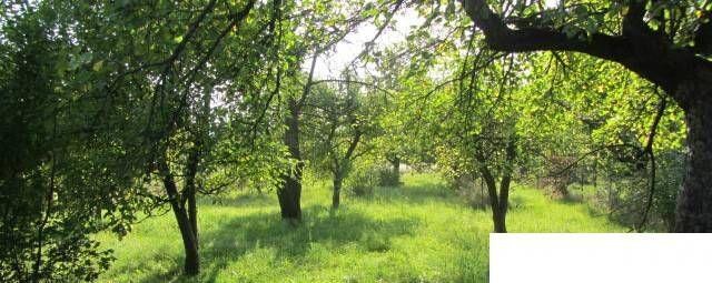 Predaj RD Vranov nad Topľou — foto 3