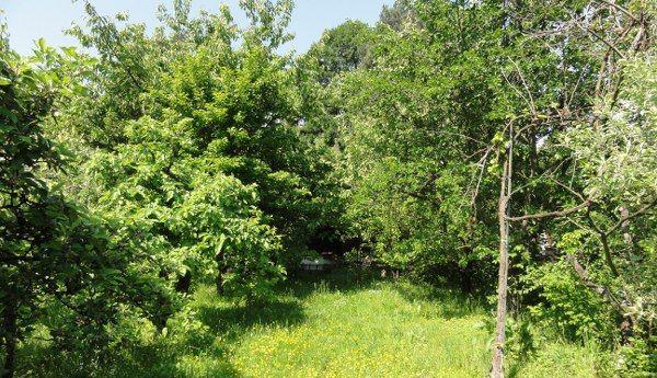 Záhradná chatka - Púšť- 400 m2 Znížená cena — foto 1
