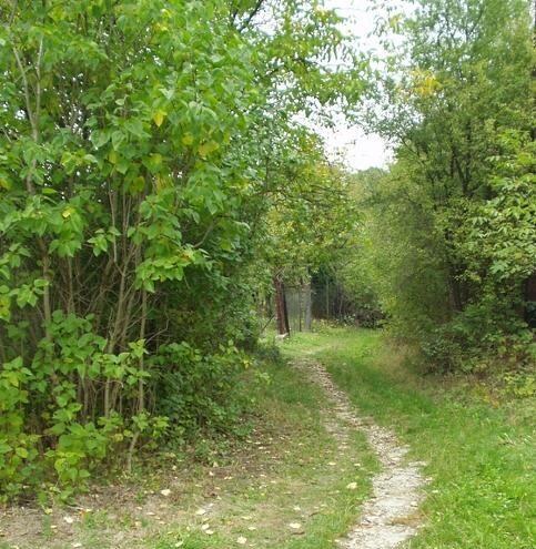Záhrada v Dúbravke Pri kríži na predaj — foto 2
