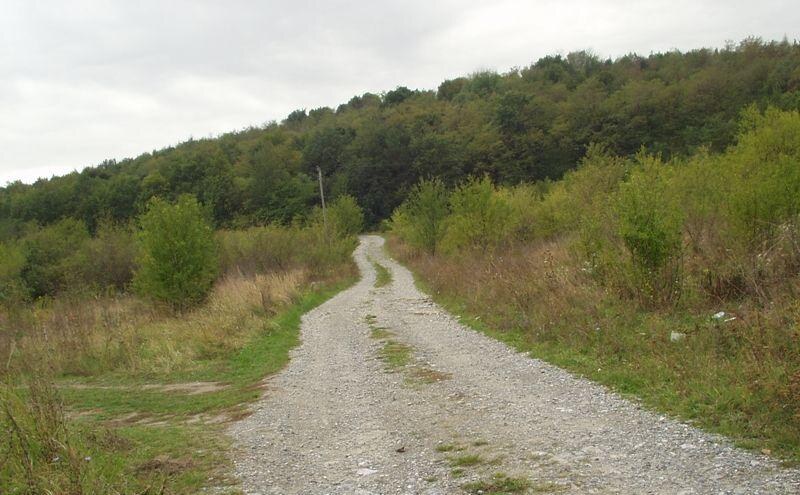 Záhrada v Dúbravke Pri kríži na predaj — foto 4