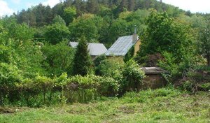 Predaj pozemku v peknom prostredí – Sokoľ — foto 2