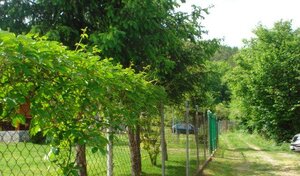 Predaj pozemku v peknom prostredí – Sokoľ — foto 4