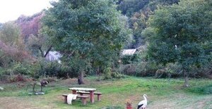 RD v Tisovci na predaj — foto 1