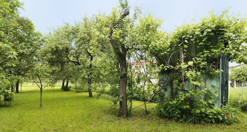 Predáme RD, pozemok 1959 m2, Radoľa okr. Kysucké N. Mesto — foto 3