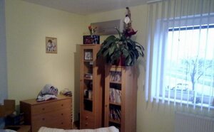 Veľký 2 iz. byt, Andovská, N. Zámky — foto 1